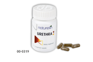 Urethra